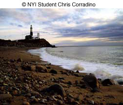 Student Profile Chris Corradino