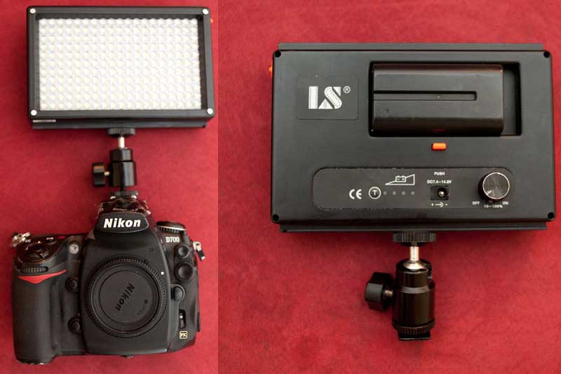 Using a Video Light to Enhance Your Nighttime Photography